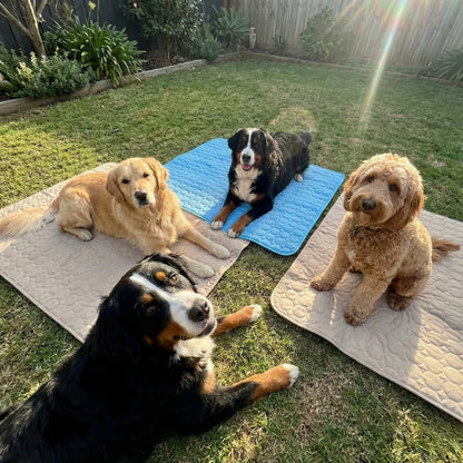 ZenChill 犬用冷却マット