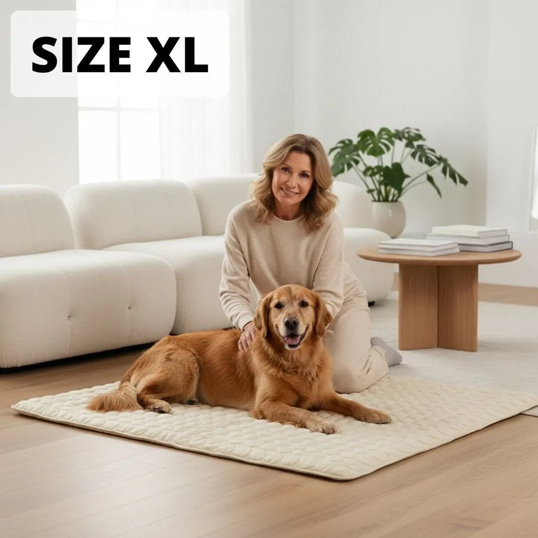 Zenchill™ Cooling Dog Mat