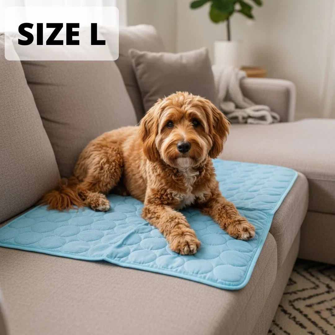 Zenchill™ Cooling Dog Mat